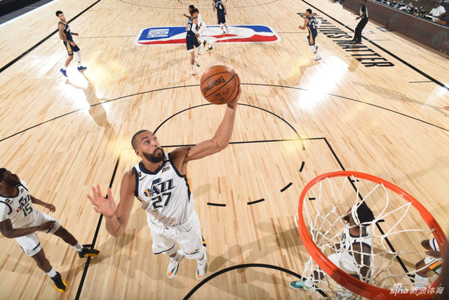 进行了专项 进行了专项